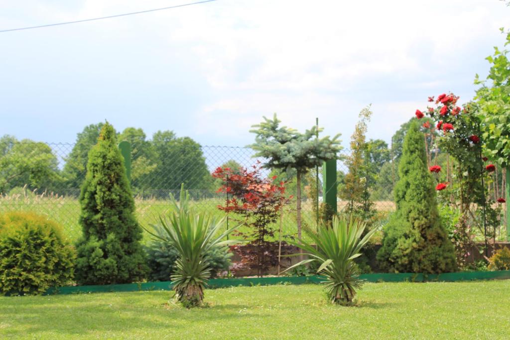 Divan miris pokošene trave